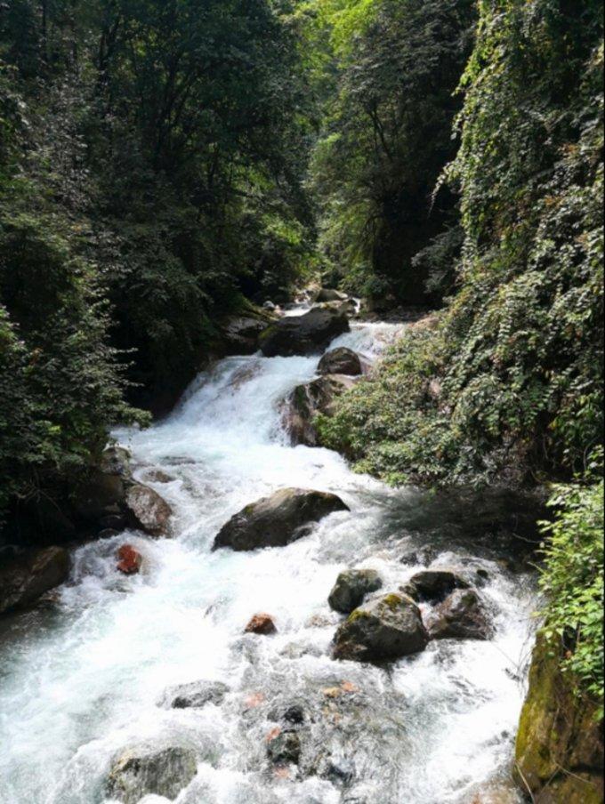 虫虫助手下载